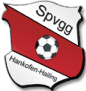 VfB Eichstatt